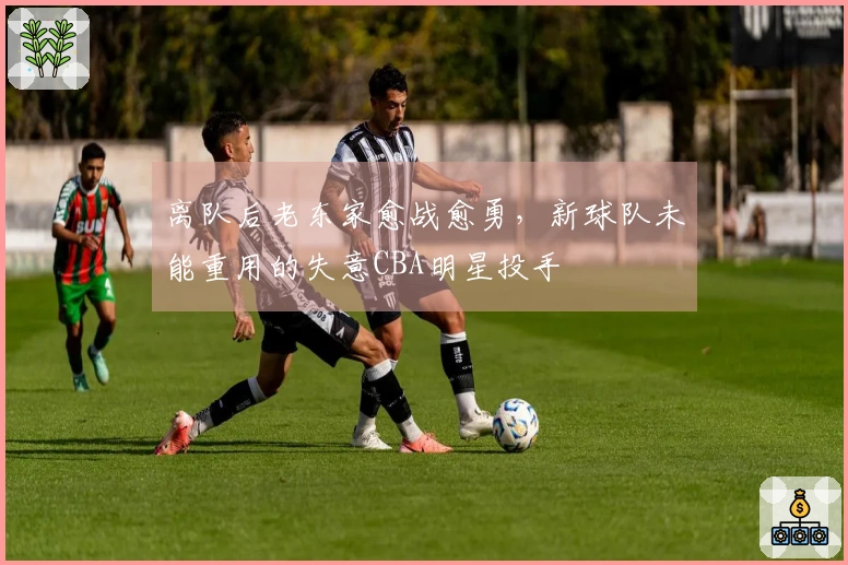 离队后老东家愈战愈勇，新球队未能重用的失意CBA明星投手