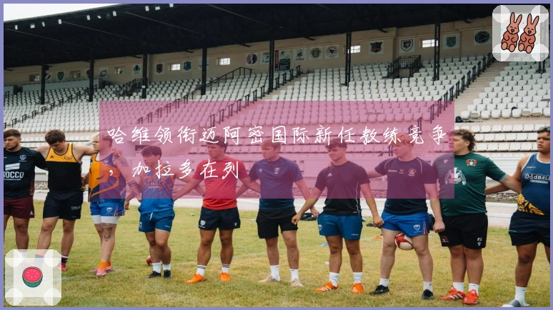 哈维领衔迈阿密国际新任教练竞争，加拉多在列